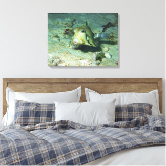 Toile Boxfish - tellement mignon ! Au-dessus d'une zone