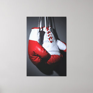 Toile Boxing gloves 