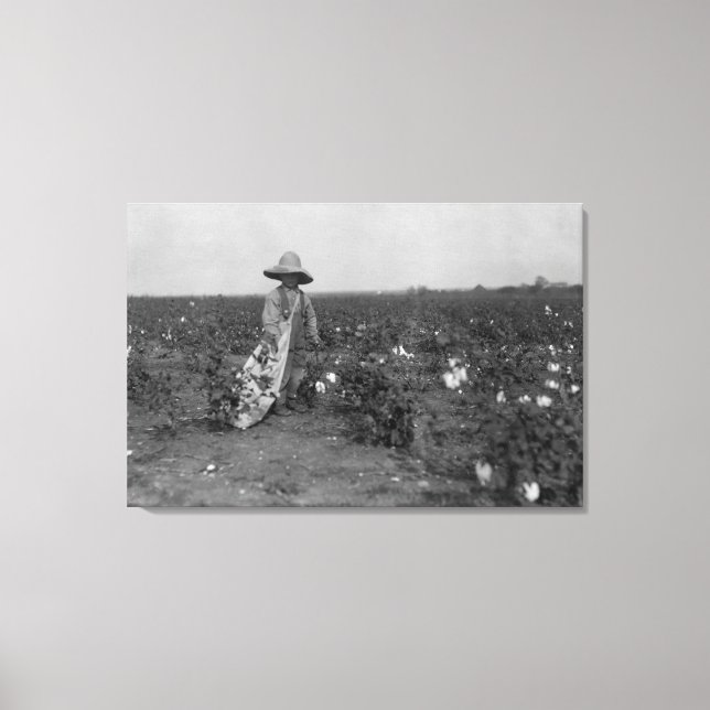 Toile Boy Picking Cotton Photographie West, Texas (Recto)