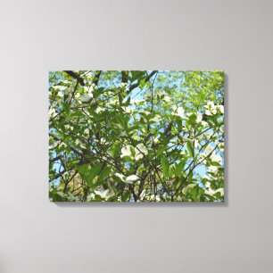 Toile Branche of Dogwood Blossoms Spring Trees