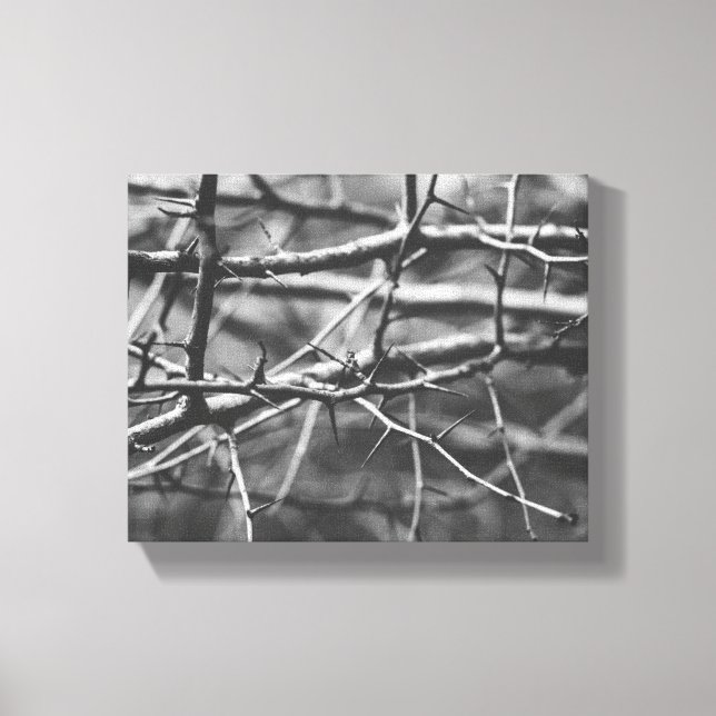 Toile Branches avec épines (Recto)
