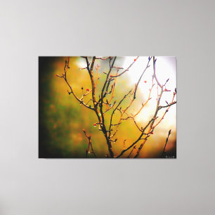 Toile Branches d'arbre nues dans la brume