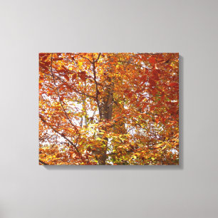 Toile Branches de feuilles orange Automne Nature