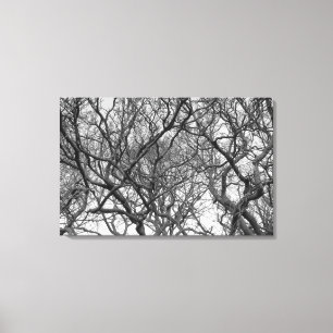 Toile Branches de Magnolia d'hiver au début du printemps