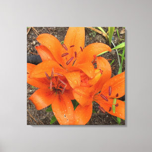 Toile Bright Orange Day Photo Canvas Art