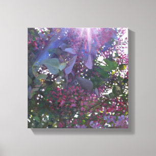 Toile brillance 2014