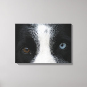 Toile Brillant yeux de chiot