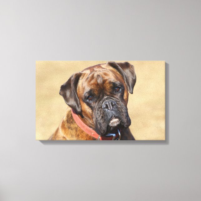 Toile Brindle Boxer Chien (Recto)