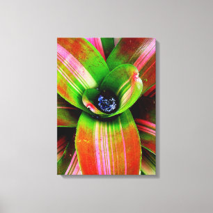 Toile Bromeliad