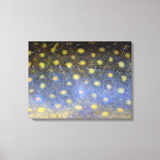 Toile Brook Trout Scales Photographie