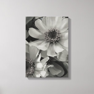 Toile Brown Eyed Susan Flowers