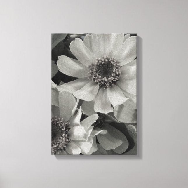 Toile Brown Eyed Susan Flowers (Recto)