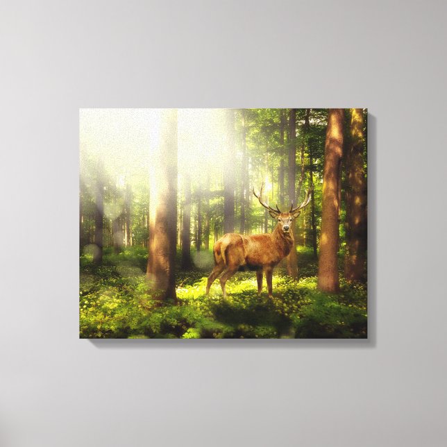 Toile Buck (Recto)