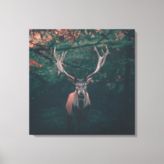 Toile Buck Deer animal sauvage (Recto)