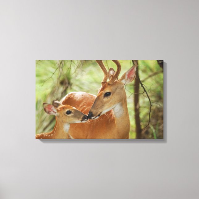 Toile Buck Whitetail Et Bonification De La Faune (Recto)