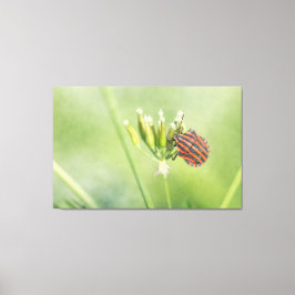 Toile Bug rouge - Une Bouteille supplémentaire ne fait p