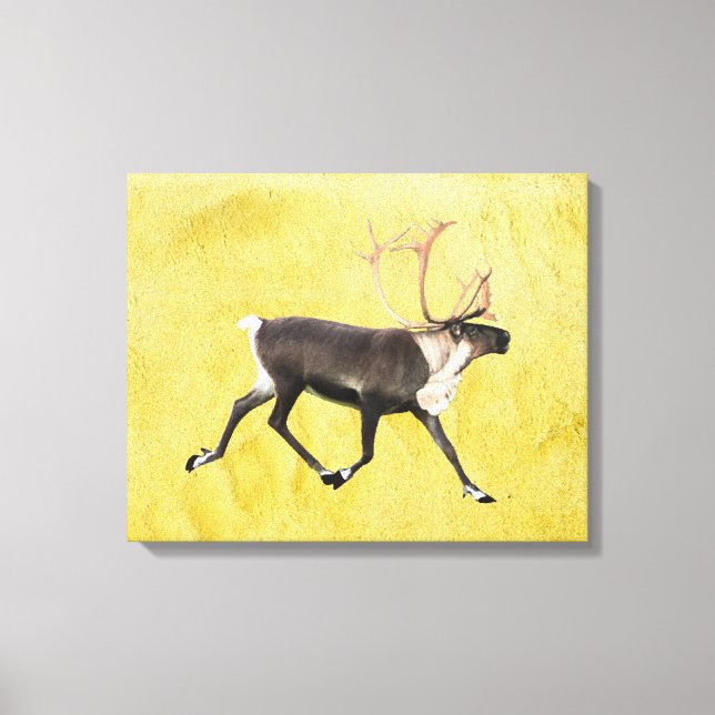 Toile Bull Caribou (Recto)