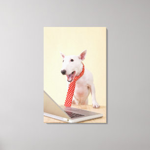 Toile Bull-terrier miniature regardant l'ordinateur