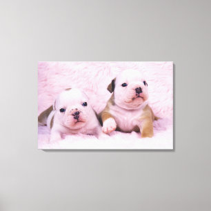Toile Bulldog ; souvent appelé le Bulldog anglais. est