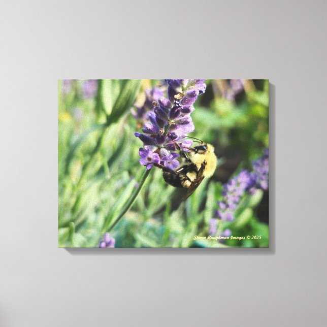 Toile Bumble Bee and Lavender Stretched Canvas Print (Recto)