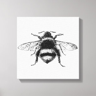 Toile Bumble Bee Canvas Imprimer