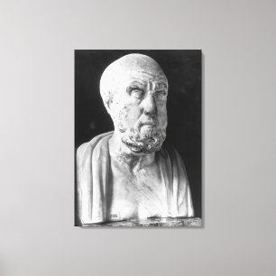 Toile Buste de Hippocrate