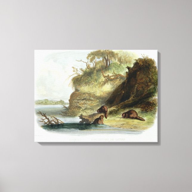 Toile Cabine de castor sur le Missouri, plaque 17 du vol (Recto)