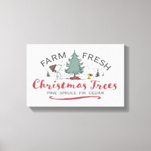 Toile cacahuètes   Arbres de Noël frais de ferme