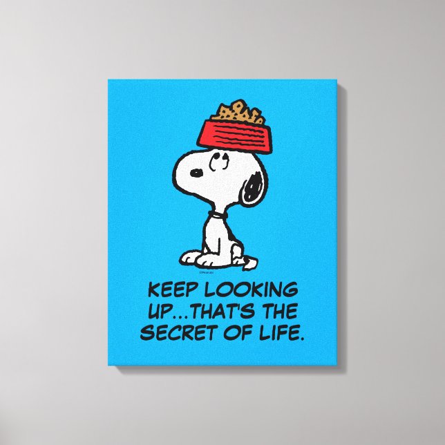 Toile cacahuètes | Snoopy Équilibrer Son Chien Disque (Recto)