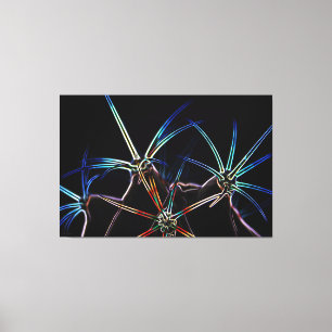 Toile Cactus 1 60x40 (150x100cm) waccna