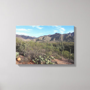 Toile Cactus et Catalina Mountains à Tucson, Arizona