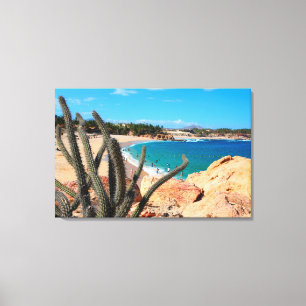 Toile Cactus sur le sommet rocheux au-dessus de la plage