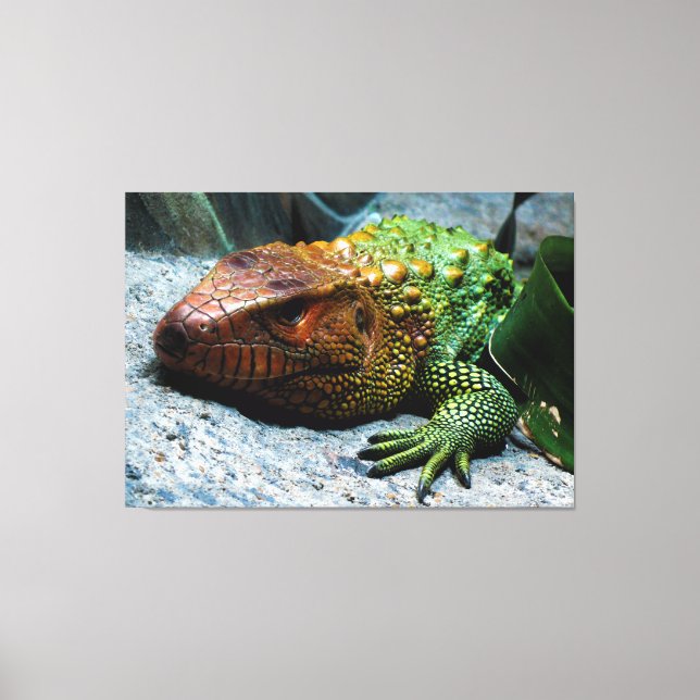 Toile Caiman du Nord Lizard Dracaena Guianensis (Recto)