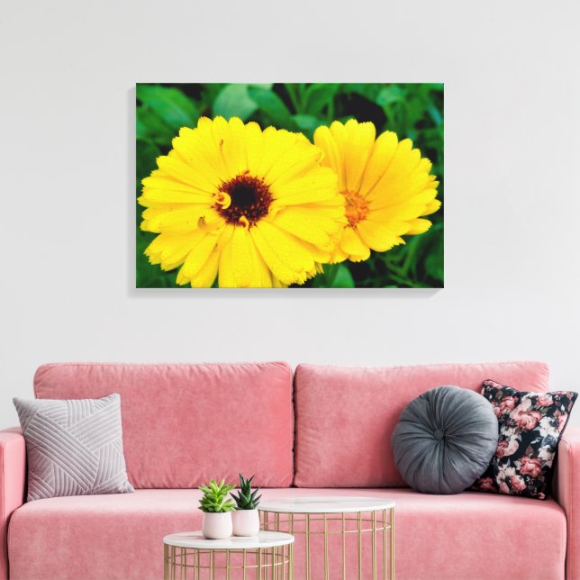 Toile Calendula Officinalis (Insitu(Salon))