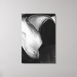 Toile Calla Lilly