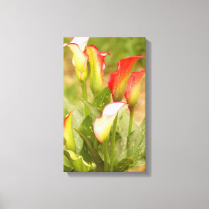 Toile Calla Lily Canvas