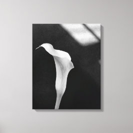 Toile Calla Lily noir et blanc