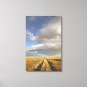 Toile Canada, Alberta, Se tenir debout : Paysage avec