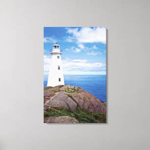 Toile Canada, Terre-Neuve, cap Spear National