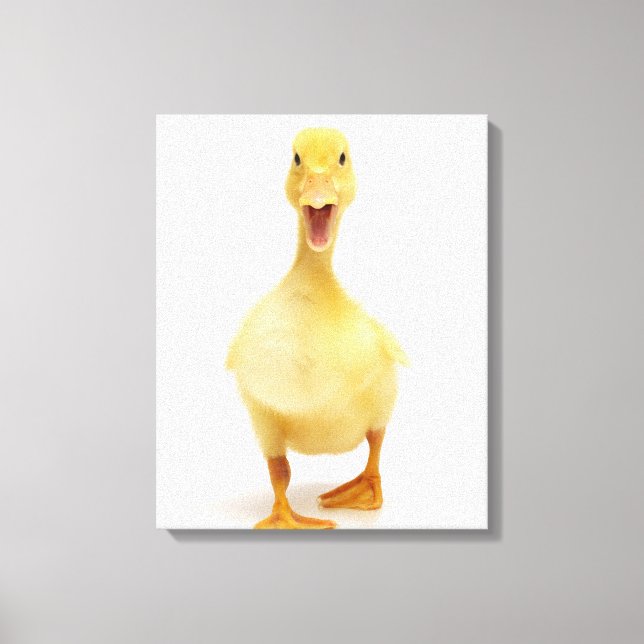 Toile Canard (Recto)