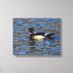 Toile Canard à bois mâle