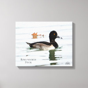 Toile Canard à col rond mâle
