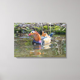 Toile Canard mandarin