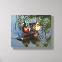 Canards de Mallard #2 Canvas