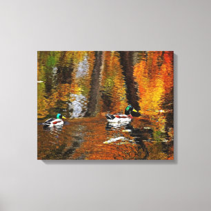 Toile Canards Mallards Aux Couleurs D'Automne