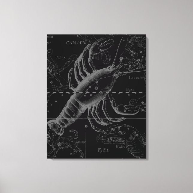 Toile Cancer Constellation Hevelius 1690 Décor (Recto)