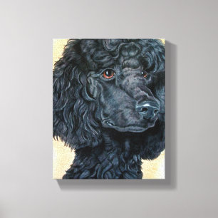 Toile Caniche noir