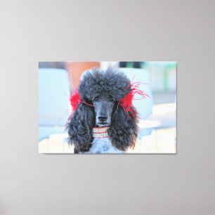 Toile Caniche standard du jour 2016 de caniche - Phoebe