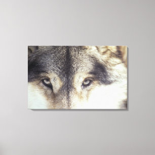 Toile Canis Lupus