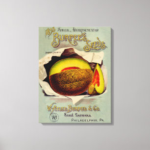Toile Cantaloupe Semences Publicité Art Antique